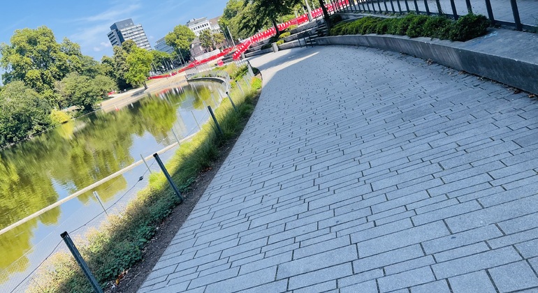 Free Tour of Düsseldorf by a Sevillian