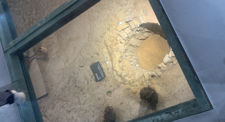 city-walk-tour-lingnan-culture-en-1