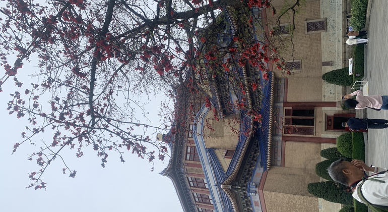 Walking Tour/Bike Tour: Lingnan City and Culture in Guangzhou China &mdash; #9