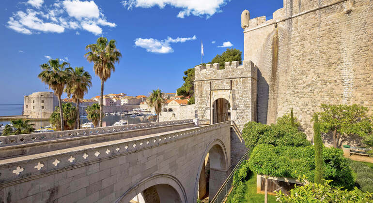 Guida audio App: Dubrovnik, Città Vecchia a piedi Croazia — #5