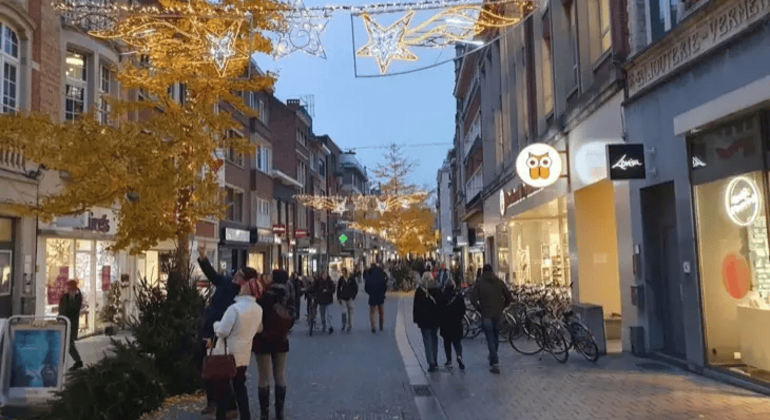 Visita guiada gratuita à história de Lovaina: A cidade da universidade e da cerveja Bélgica — #7