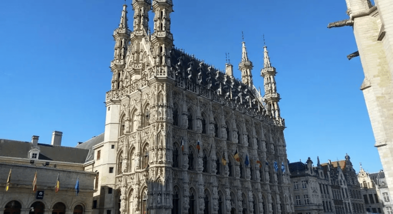 Visita guiada gratuita à história de Lovaina: A cidade da universidade e da cerveja Bélgica — #8