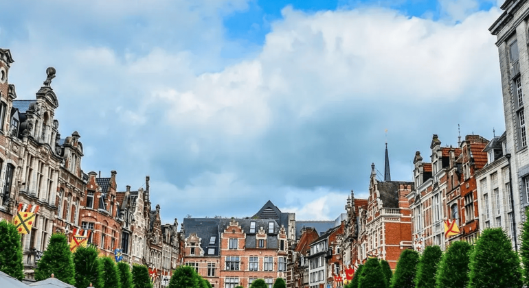 Tour gratuito por la historia de Lovaina: La ciudad de la universidad y la cerveza, Belgium