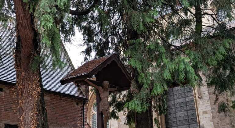 Visita guiada gratuita à história de Lovaina: A cidade da universidade e da cerveja Bélgica — #5