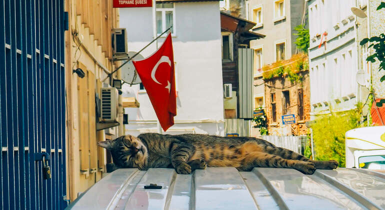 Audioguía App: Estambul City Walk Turquía — #16