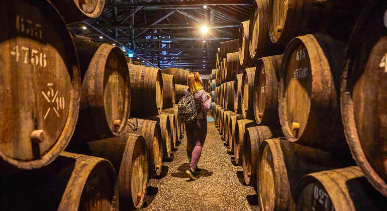 Audio Guide App: Porto City Walk Portugal — #15