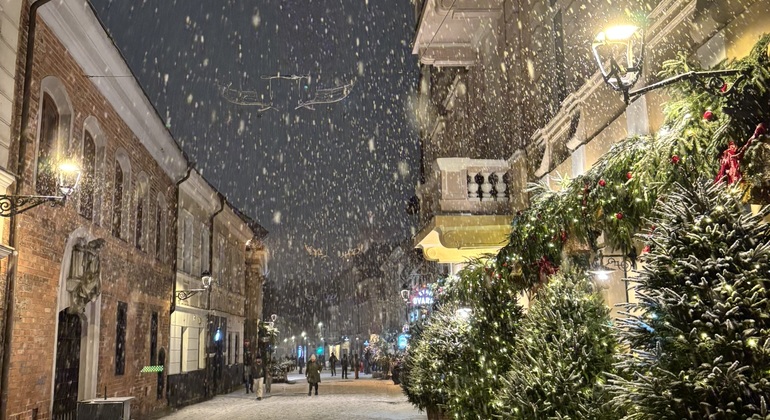 Vilnius: Old Town Christmas Traditions Walking Tour Lithuania &mdash; #6