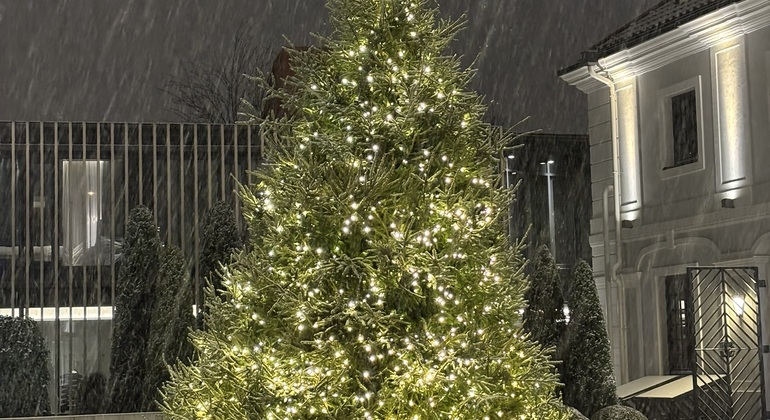 Vilnius: Old Town Christmas Traditions Walking Tour Lithuania &mdash; #8