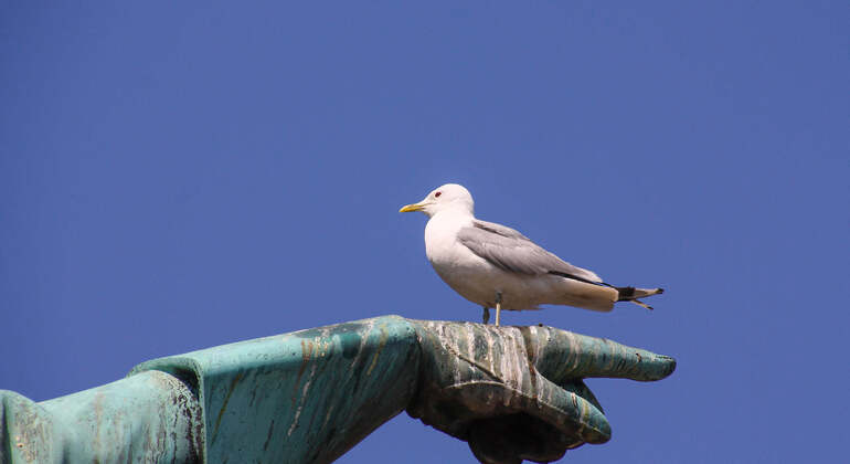 Audio Guide App: Stockholm City Walk Sweden — #12