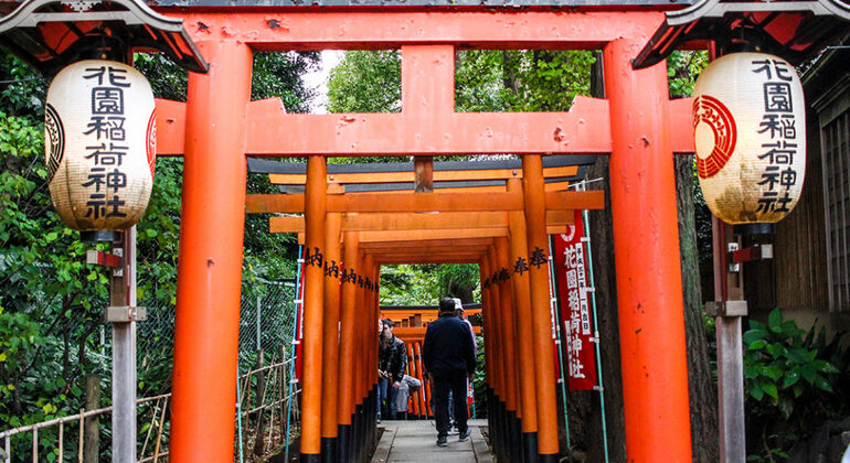 Visite libre d'Ueno : temples, musées et samouraïs au cœur de Tokyo Fournie par Fernando