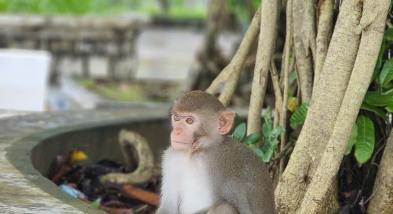 Marble Mountain: Monkey Mountain Group Tour Provided by Simply Viet Nam Travel