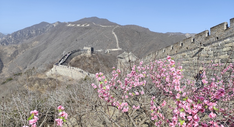 Excursión de un día a la Gran Muralla de Mutianyu y al Palacio de Verano con entradas China &mdash; #4