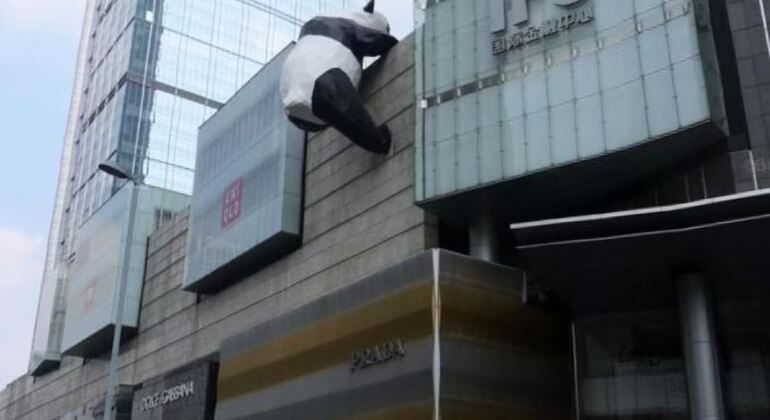 Tour giornaliero in autobus del parco dei panda di Chengdu con biglietti Fornito da Guangzhou Zhiwoyou Travel Agency