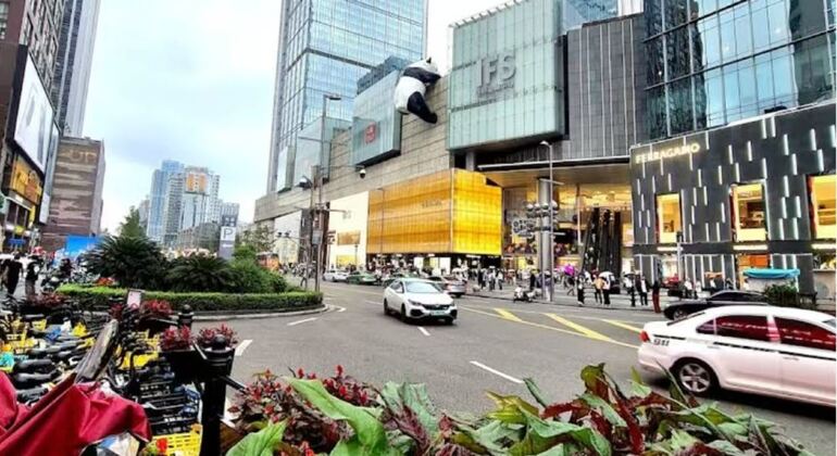 Tour giornaliero in autobus del parco dei panda di Chengdu con biglietti Cina &mdash; #2