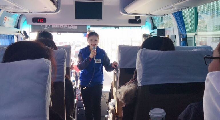 trip-to-the-terracotta-army-museum-in-xian-es-1