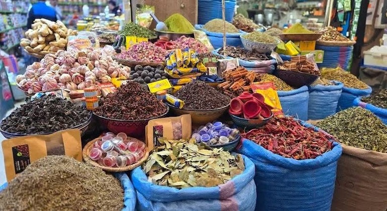 Tour of Agadir: History, Culture & Viewpoints Morocco &mdash; #6