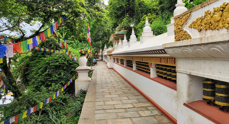 Temple des singes : Visite à pied de SwayambhuNath Népal — #5