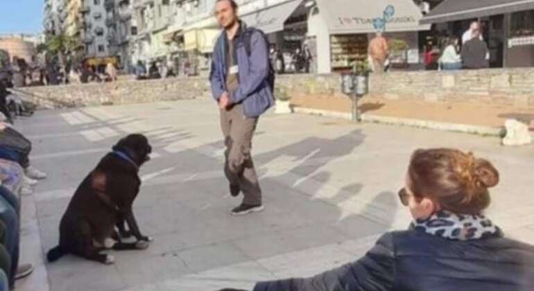 Meet the Stray Animals Tour of Thessaloniki Greece — #8