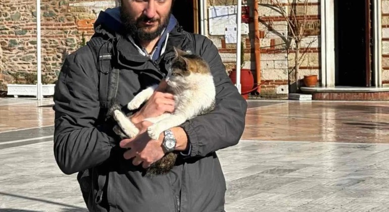 Meet the Stray Animals Tour of Thessaloniki Greece — #16