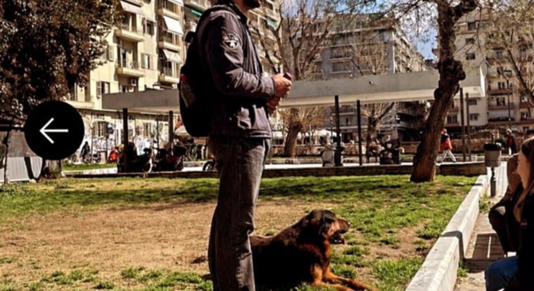 Meet the Stray Animals Tour of Thessaloniki Greece — #20