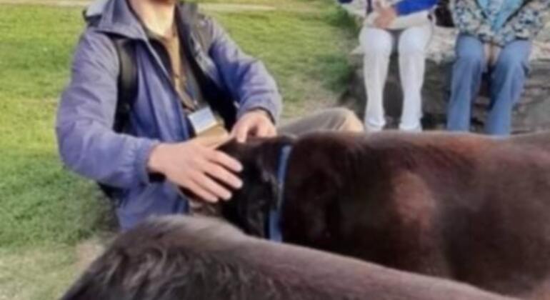 Meet the Stray Animals Tour of Thessaloniki Greece — #24