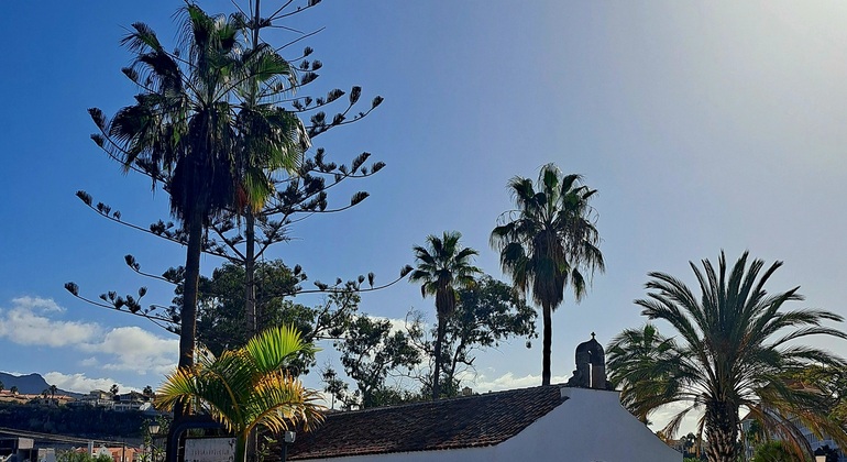 History, Secrets and Legends of the Canary Islands Free Tour Spain &mdash; #3