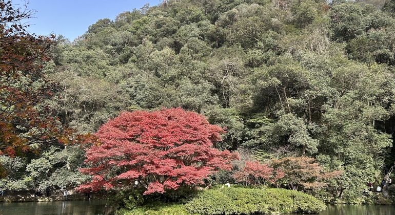 Hangzhou Free Tour: Explore Lian Temple China — #3