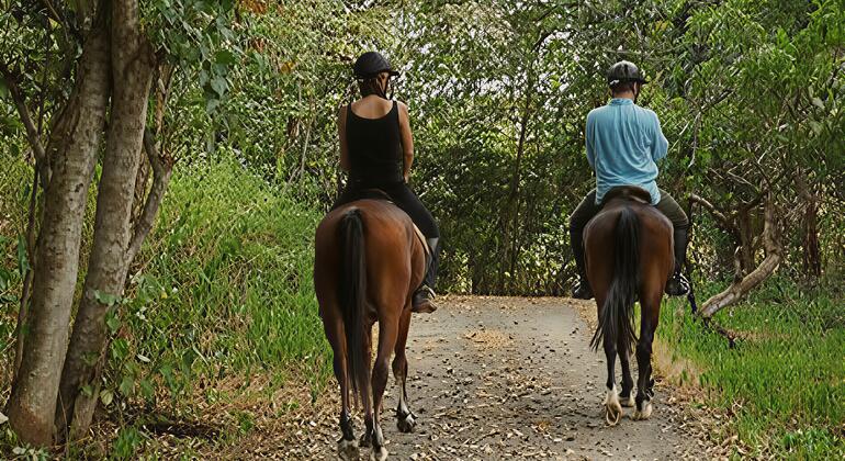 lagos-nature-free-tour-lekki-conservation-lufasi-en-6