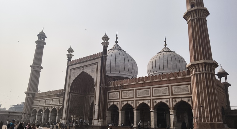 Free Old Delhi Hidden Streets Tour with Rooftop View & Tuk-Tuk India — #8