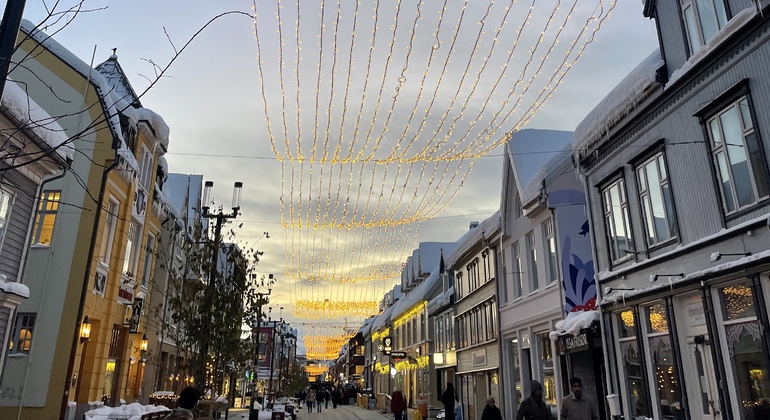 Visita gratuita a Tromsø: la capital del Ártico