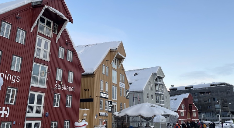 Visita gratuita a Tromsø: a capital do Ártico Noruega &mdash; #7
