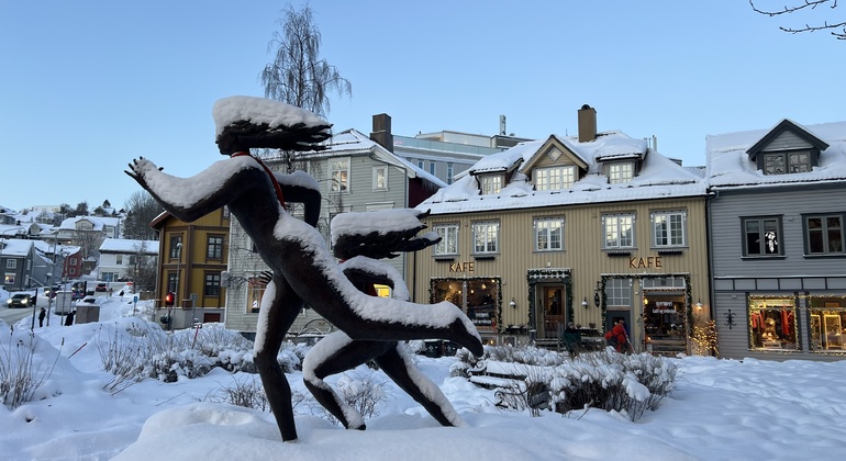 Visita gratuita a Tromsø: a capital do Ártico Noruega &mdash; #12