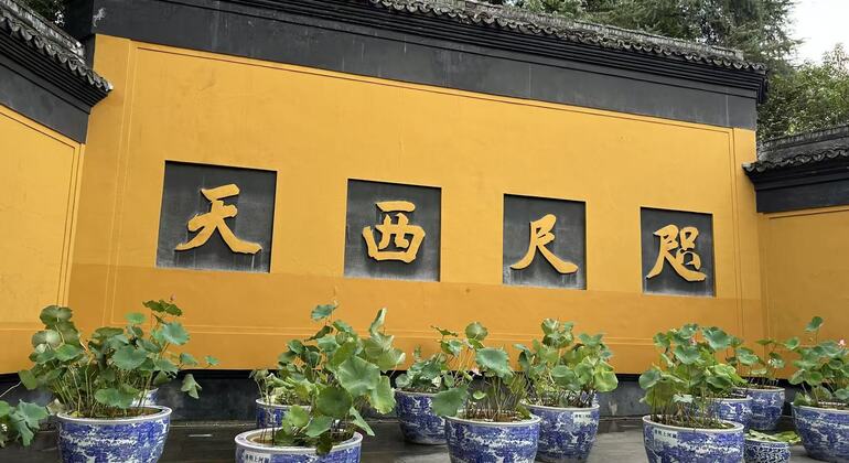 Visite libre de Hangzhou : Explorer le temple de Lingshun Fournie par Wen Gong
