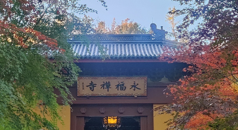 free-tour-hangzhou-cultural-trek-monasteries-carved-cliffs-es-30