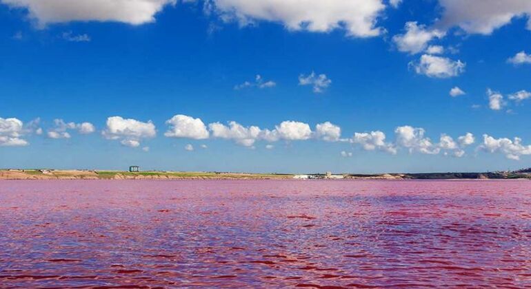 Excursão de aventura "Candy Cane & Pink Lake Organizado por Alik Bakinskiy