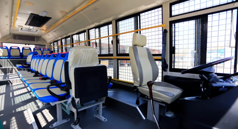 Visite en bus du parc des tigres de Sibérie à Harbin Chine &mdash; #5