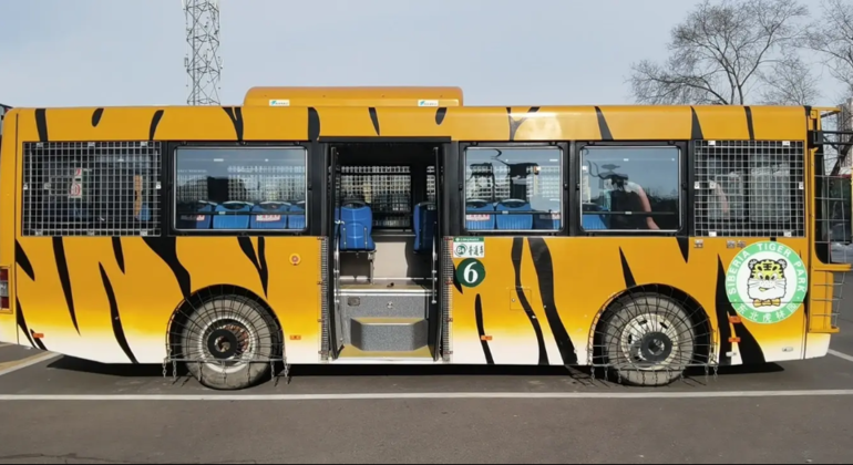 Visite en bus du parc des tigres de Sibérie à Harbin Chine &mdash; #8