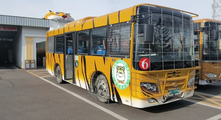 Visite en bus du parc des tigres de Sibérie à Harbin Chine &mdash; #9