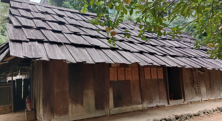 Excursión gratuita: Descubra el patrimonio étnico de Vietnam Vietnam &mdash; #12