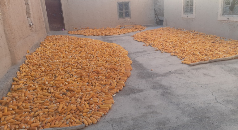 Excursión gratuita de senderismo por el valle del Ziz 