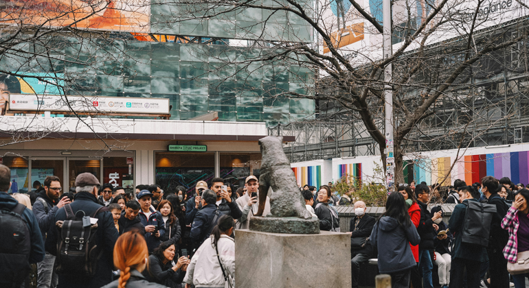 Shibuya Night Walking Tour Discover the Hidden Gems Japan &mdash; #3