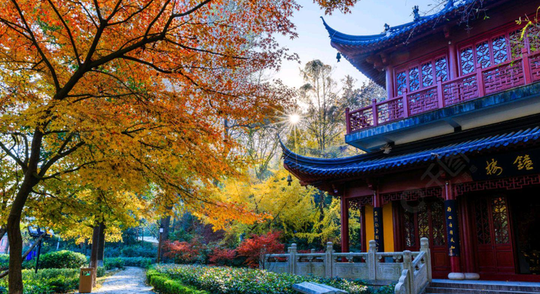 Nanjing: Billete de adulto a la montaña Qixia