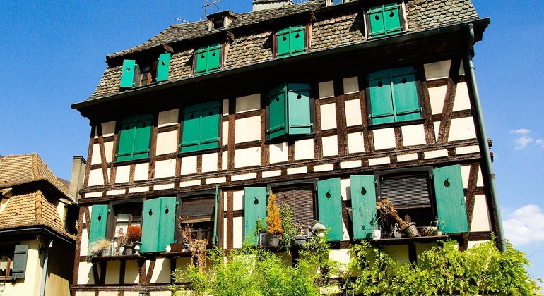 Visita libera: Visita guidata a Starsbourg