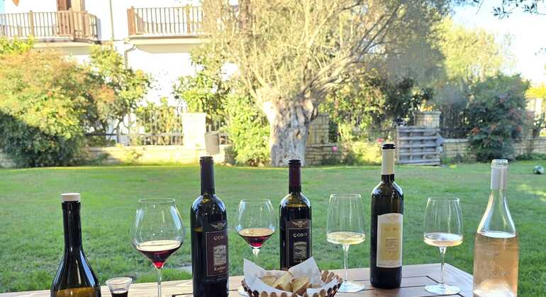 Experiência de prova de vinhos em Berat 