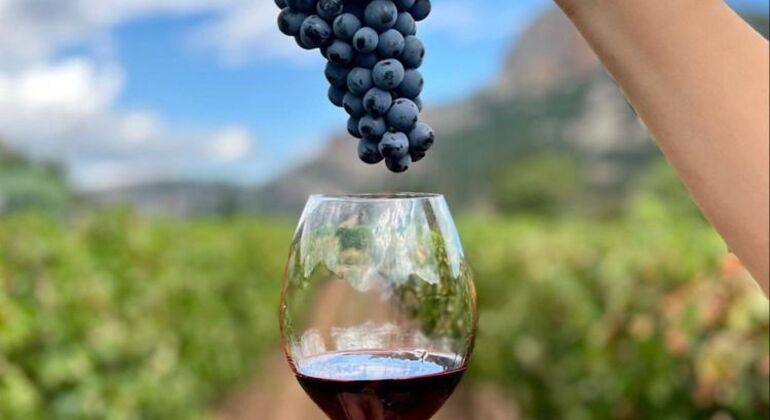 Weinverkostung Tour in Berat  Albanien &mdash; #2