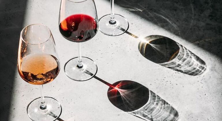 Weinverkostung Tour in Berat  Albanien &mdash; #4