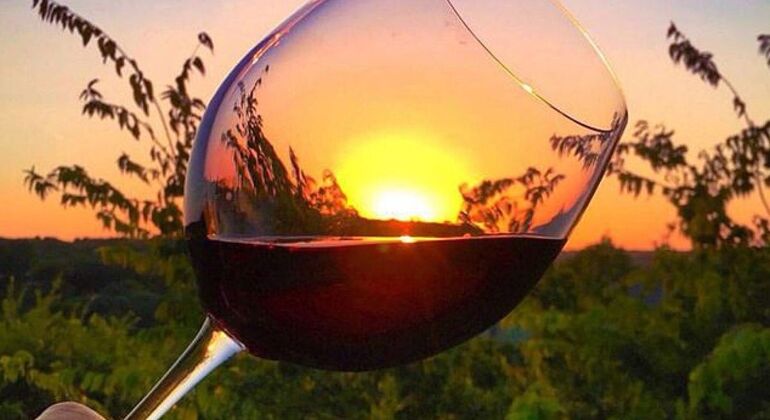 Weinverkostung Tour in Berat  Albanien &mdash; #5