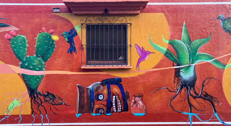 Explore Xochimilco, o antigo bairro azteca de Oaxaca