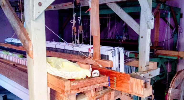 Explore Xochimilco, the Ancient Aztec Neighborhood of Oaxaca Mexico &mdash; #6