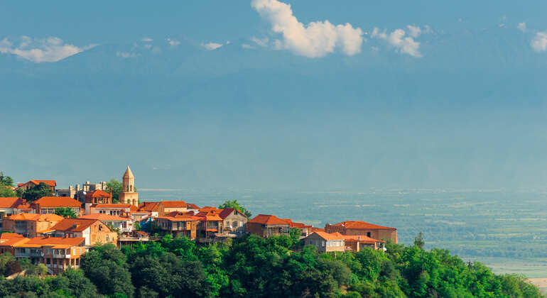 All-inclusive Day Trip to Kakheti with Family Lunch and wine Tasting, Georgia